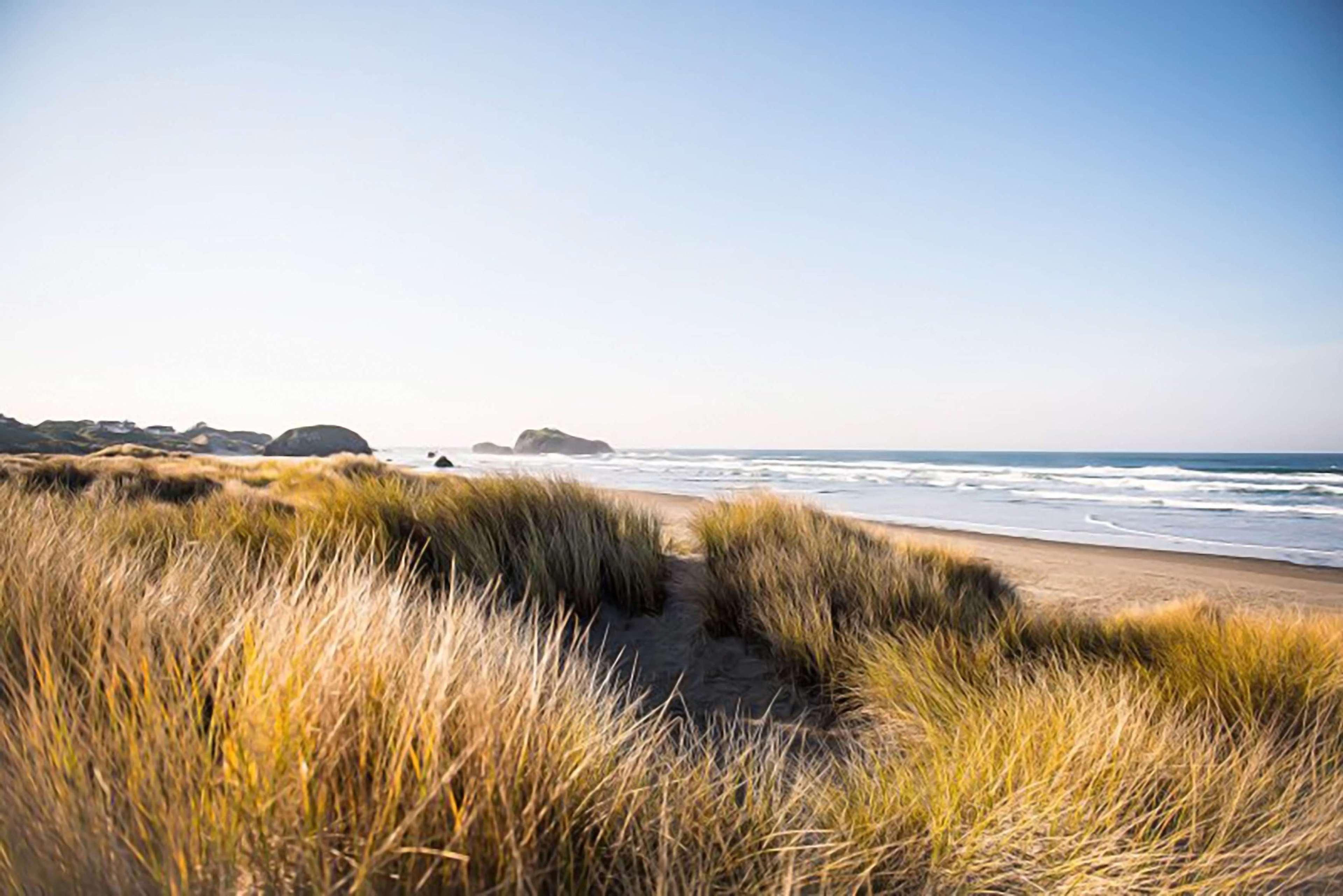 Best Western Inn At Face Rock Bandon Extérieur photo