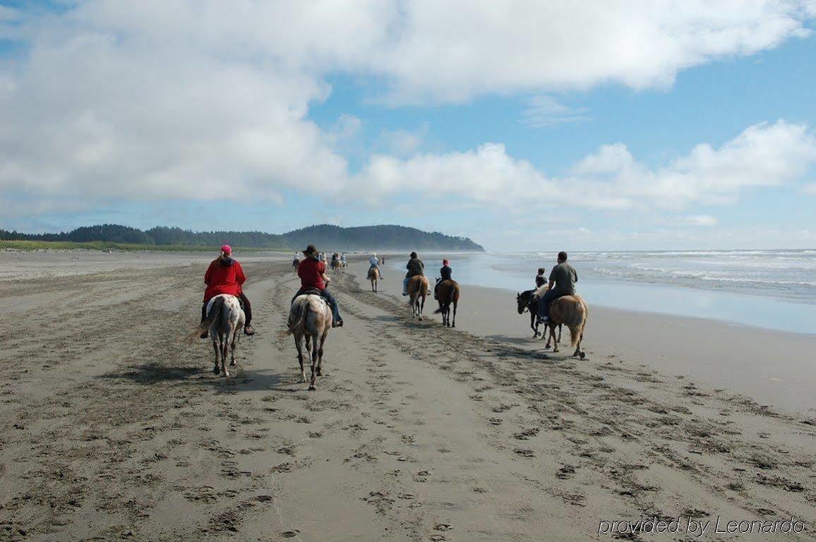 Best Western Inn At Face Rock Bandon Facilités photo